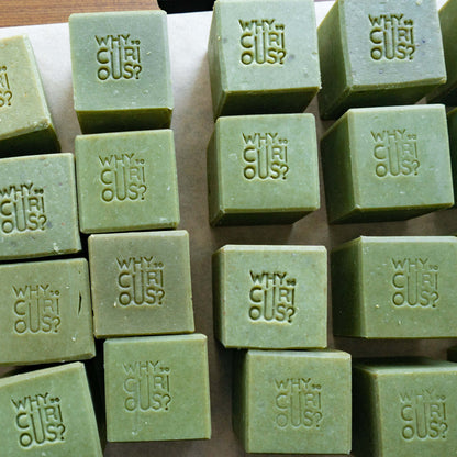 AVOLICIOUS